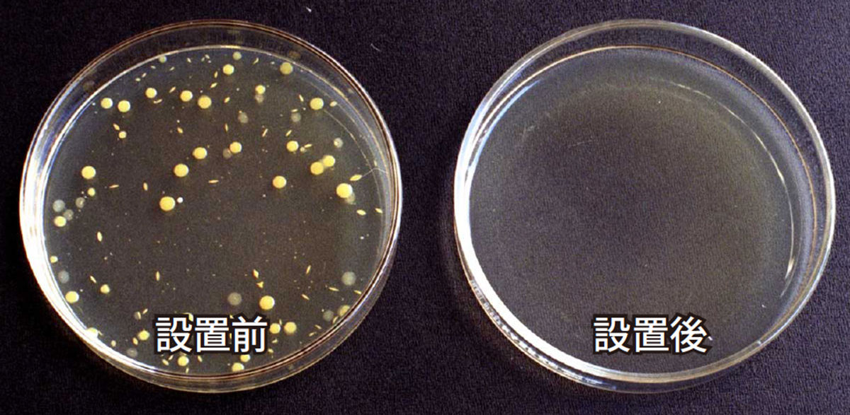 『バイオ ･プロテクター』は、細菌から水ラインを守ります。