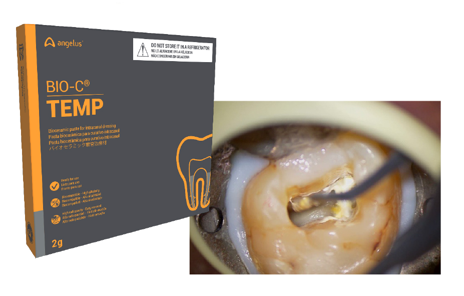 バイオ シー テンプ