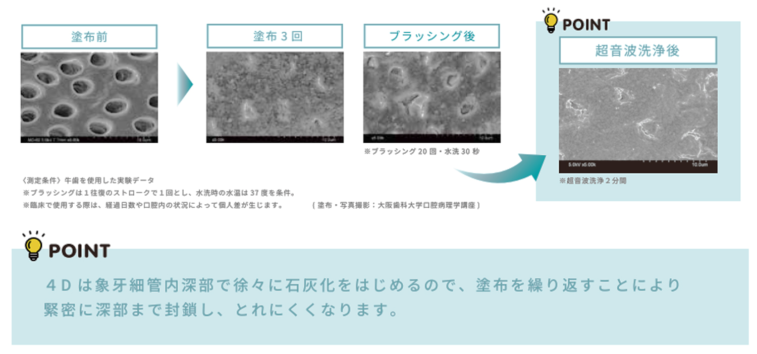 ブラッシング後でもとれにくい耐久性