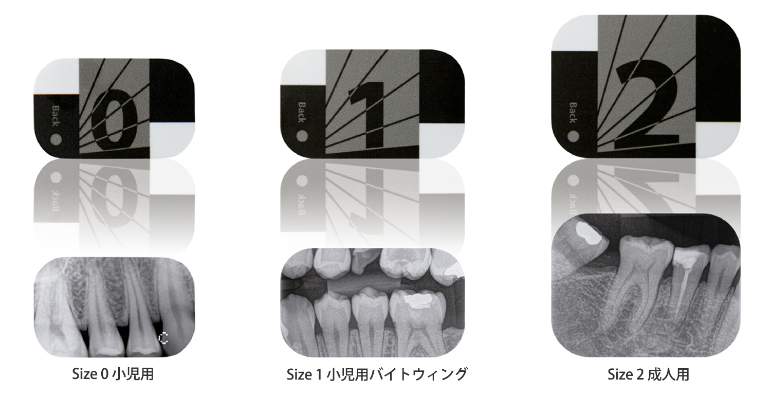 3つのプレートサイズ