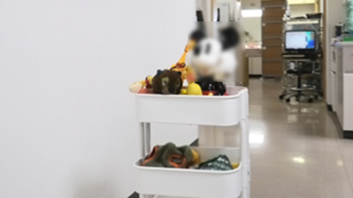 コミュニケーション